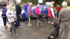 Veterinář varoval před leptospirózou. Způsobil poplach, tvrdí kolegové
