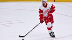 Minnesota si díky skvělé třetí třetině poradila s Arizonou, Hronek asistoval