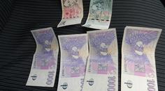 Muži vypadla peněženka s několika tisíci. Poctivý mladík vše vrátil