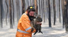 Konečný účet za požáry v Austrálii: Oheň zasáhl tři miliardy zvířat