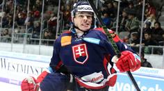 Slovenský tým pro MS: Evropskému mixu vládnou týmy z Česka