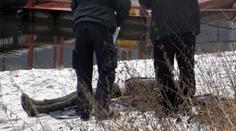 Je to možné?! Záchranáři nechali utopit muže (†41) v metru vody!