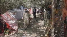 Afghánistánu hrozí humanitární katastrofa. Na zemi se valí hladomor