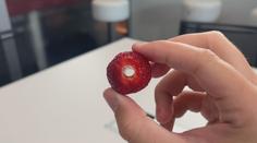 Jak se zbavit otravných stopek z jahod? Stačí vám k tomu brčko