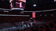 Fanouškům Capitals měli zabavit ukrajinské vlajky, ruské na zápasu byly