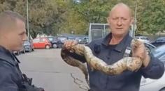 Hláška "mačkáš mi hada" dostala v Brně úplně jiný význam
