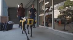 Australští studenti vyvíjejí náhradu za vodicí psy. Nevidomým budou pomáhat roboti