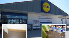 Trus v regálech a okousané krabice. Inspektoři zavřeli Lidl!