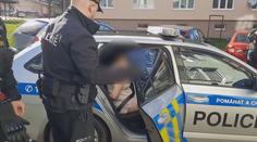 Z vraždy tříleté dívky obvinili policisté matku. Zveřejnili další podrobnosti k případu