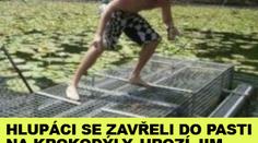 Hlupáci se zavřeli do pasti na krokodýly. Hrozí jim i vězení