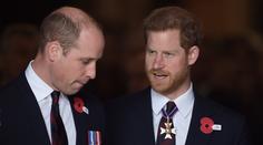 William to bude dlouho rozdýchávat. Na Harryho žárlí, tvrdí expert