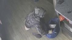 Kamery zachytily zloděje, kterému při loupeži padaly kalhoty. Hledá ho policie