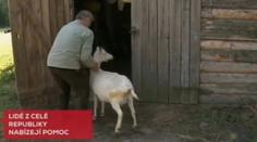 Úřady zbořily chovateli chlívek pro kozy! Peníze mu poslal i sedmiletý Martínek