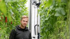 Robot chrání rajčata před škůdci a učí se díky AI. Farmář řekl, jak vše vzniklo