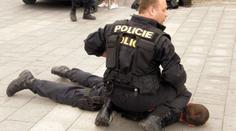 Dopadený lump řekl policistovi, že musí na WC: Tam ho zbil a utekl
