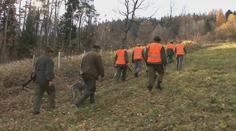 Chybí peníze od státu, vzácné zvěři hrozí úbytek, popsal předseda myslivecké jednoty