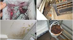 Špína, trus a plíseň! Tyto stánky a restaurace neprošly kontrolou