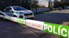 Kamarádi opili a brutálně zbili dívku (11): Slovenská policie ukončila vyšetřování