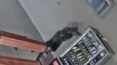Muž hrál s automatem oslíčku otřes se. O vtípek ale nešlo, kradl z něj sladkosti
