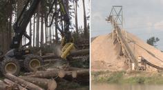VIDEO: Obnovení těžby písku má zlikvidovat další lesy! Lidé i úřad se brání
