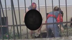Nahá žena se předváděla před dětmi. Šlo o uměleckou akci, tvrdí vysoká škola