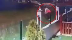 Kluk (5) lezl přes plot pro míč, potrhala ho psí smečka! VIDEO