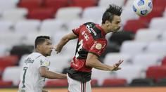 Obhájí Palmeiras Pohár osvoboditelů? Na finálového soupeře letos vůbec neumí