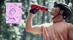 Pozor na polykarbonátové láhve! Může v nich být smrtící bisfenol, který vyvolává RAKOVINU