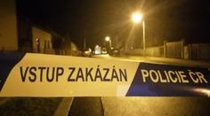 Muž měl napadat rodinu a se sekerou zaútočit na policisty. Ti ho postřelili