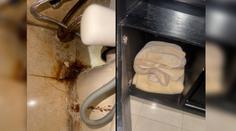 Češky přišly o půl dovolené v Egyptě: Hotel byl smetiště, bály jsme se o zdraví