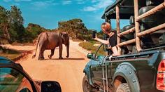 Safari během dovolené na Zanzibaru: Probuďte v sobě dobrodruha!