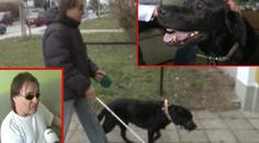 Nemocná fenka Domča vás dojala! Víme, jak jí můžete pomoci!