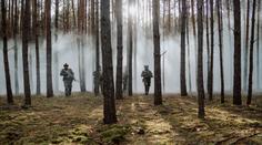 Na napadení členského státu NATO odpoví okamžitě. ČR má jasně danou roli