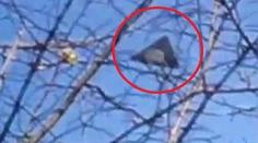 ZÁHADY a UFO: Podívejte se, co nás zmátlo v roce 2012