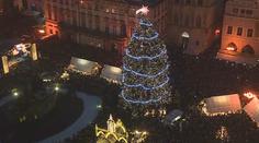 Vánoční strom ze Staromáku jde k truhlářům, vyřežou z něj stoly