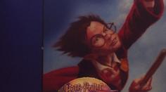 Soud s pirátským Harry Potterem znovu odročen