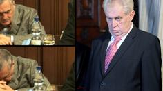 Schwarzenberg spí ve Sněmovně, Zeman vrávorá na Hradě. Dělají nám ostudu, zuří Češi