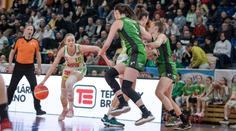 Pojedou Žabiny na vlně euforie? ŽBL začne brněnským derby na Nova Sport 1