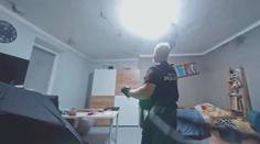 VIDEO: Horší než zlý sen. Do pokoje v bytě vletěly desítky netopýrů