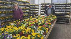 Češi zaplavili polská zahradnictví. Výrazně tam ušetří