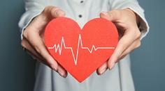 Jak snížit cholesterol? Zkuste rostlinné steroly!