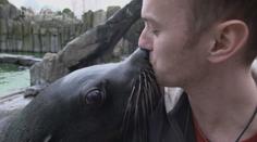 VÍKEND: Den chovatele lachtanů v pražské ZOO