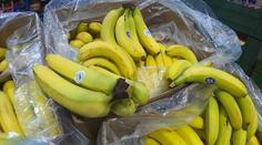 Kontrola supermarketů na Moravě: V Mohelnici příjemně překvapili