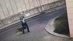 Muž po útoku psa na dítě utekl! Zpanikařil jsem, tvrdil při výslechu