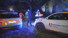 Policisté pronásledovali kradenou dodávku. Řidič pak z místa uprchl