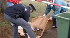Useknuté ruce našel muž na břehu potoka v Braníku