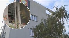 Lupiči měli svázat hlídače a zajímat se o trezor! Policie o případu mlčí