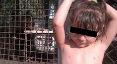 Medvěd Dášence (3) ukousl ruku. Těsně po vyfocení tohoto snímku!