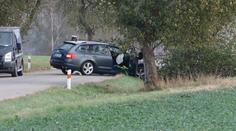 Auto najelo u Vlašimi do stromu. Řidič zemřel, děti odvezly vrtulníky