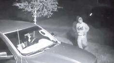 Každou noc jim kradli auto a zas ho vraceli. Manželé měli divné tušení